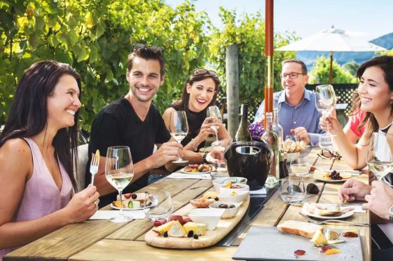 Bubbly Grape Wine Tours