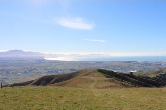 Witherhills Farm Park